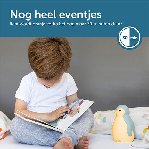 zazu 3-in-1 slaaptrainer pam - grijs  | ZA-PAM-01 PR10 | 4