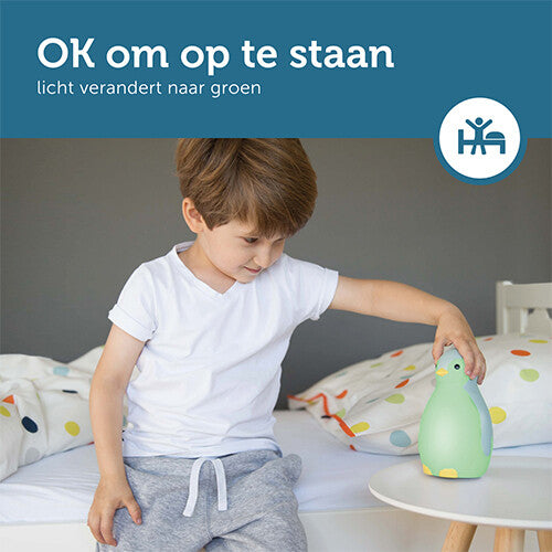 zazu 3-in-1 slaaptrainer pam - grijs  | ZA-PAM-01 PR10 | 5