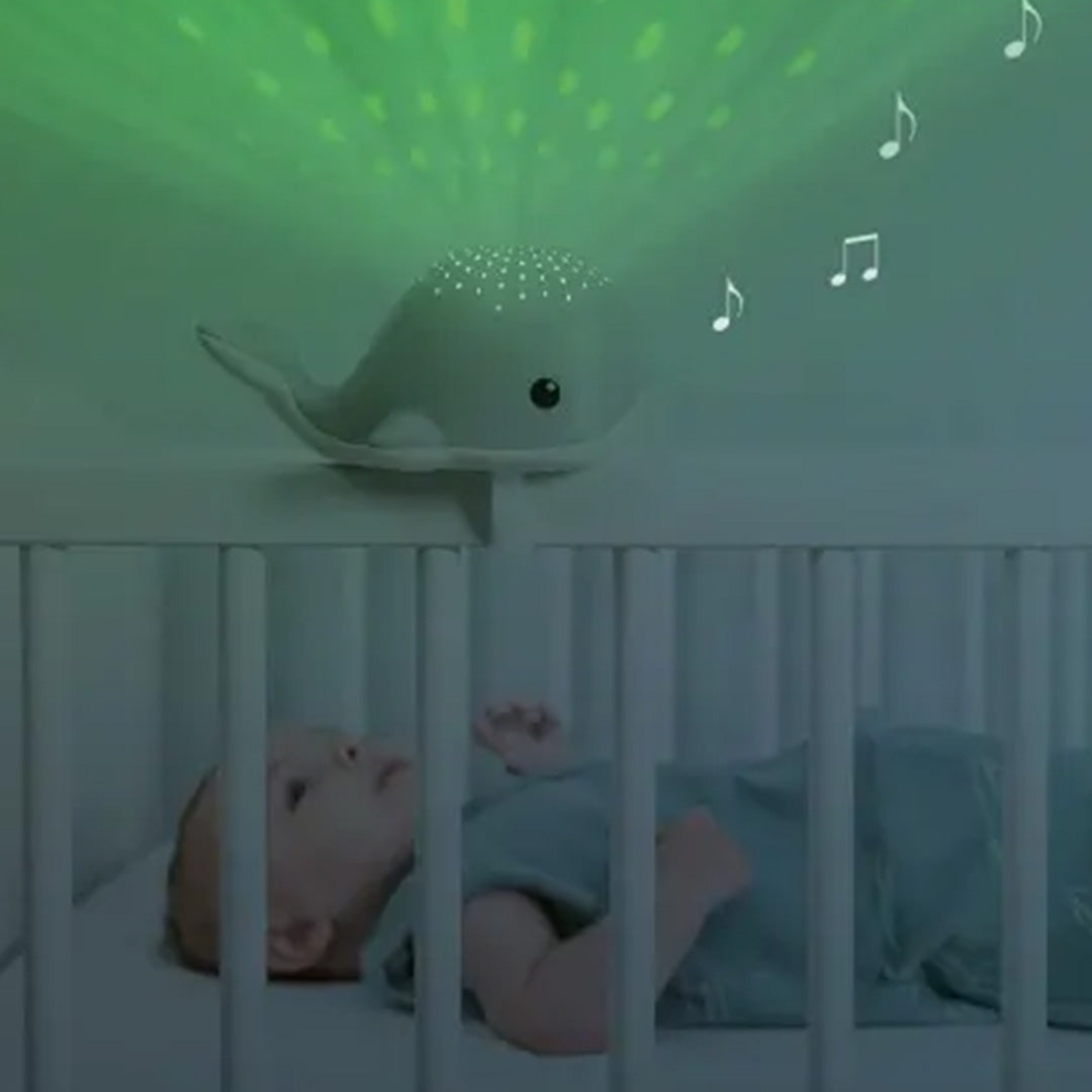 zazu muziekdoos en lichtprojector wally - paars | ZA-WALLY-06 | 2
