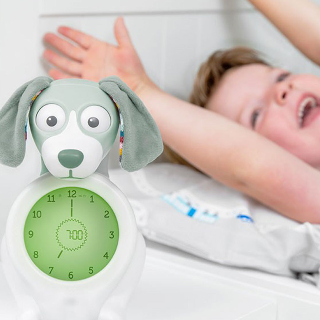 zazu 3-in-1 slaaptrainer hond davy - groen | ZA-DAVY-02 | 2