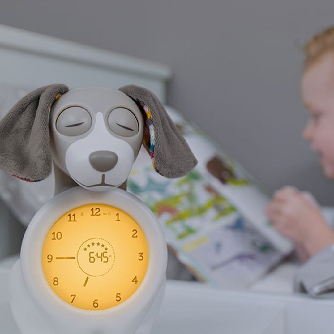 zazu 3-in-1 slaaptrainer hond davy - taupe | ZA-DAVY-01 |1