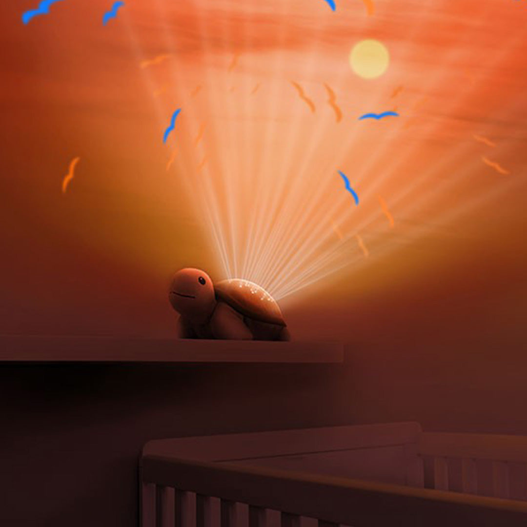 zazu muziekdoos en lichtprojector zonsondergang - tim de schildpad | ZA-TIM-01 | 1