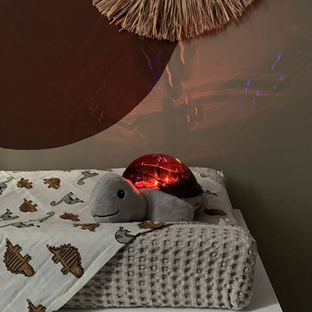 zazu muziekdoos en lichtprojector zonsondergang - tim de schildpad | ZA-TIM-01 | 3